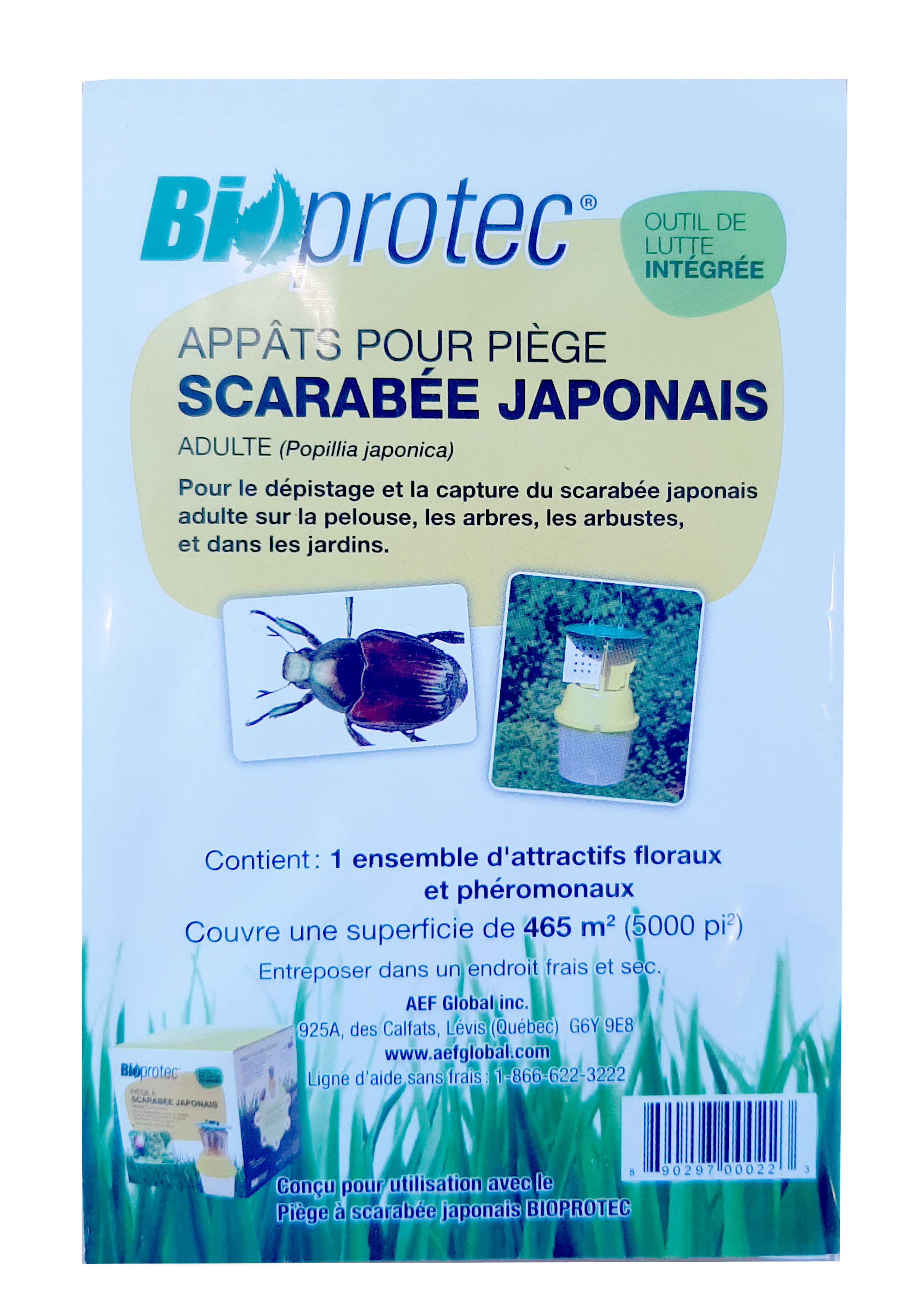 Appat pr scarabee japonais